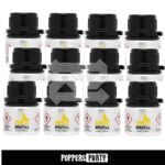 Poppers Everest Brutal 30ml x12 | Poppers en Gros